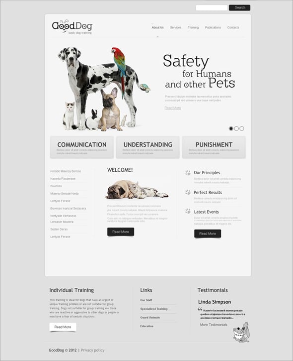 Flash CMS Template for Dog Training Classes
