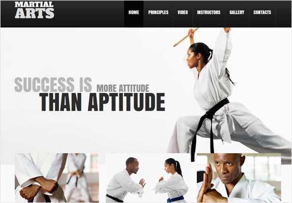 Female Oriented Martial Arts Web Template