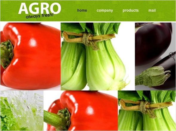 Agriculture Green Website Template
