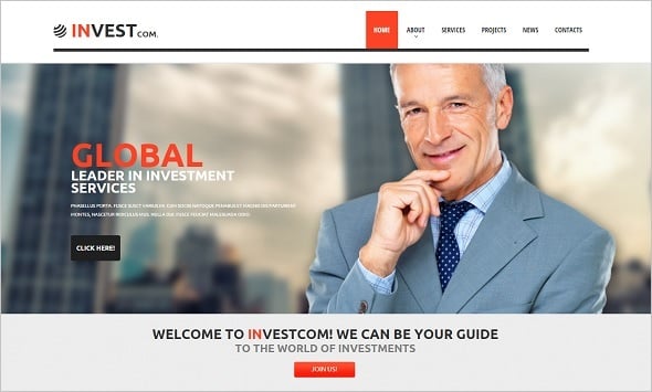 Best Website Templates 2014 - Business Investment Company Template
