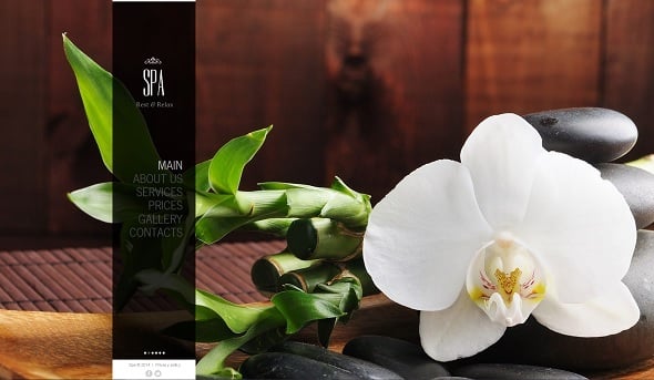 Best Website templates 2014 - Spa Salon Website Template with Large Background