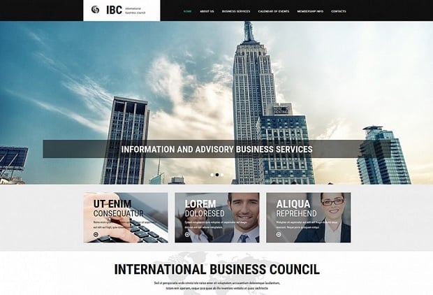 Designing Consulting Agency Website - 54909