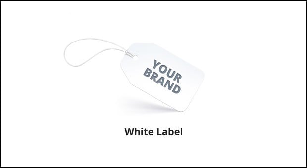 building-websites-white-label