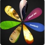 Fresh and Inspiring Flash Photo Gallery Solutions