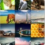 New Impressive Galleries from MotoCMS: Flash Rocks!