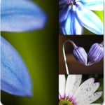 Flash Templates Powered By MotoCMS: A Spring Bunch