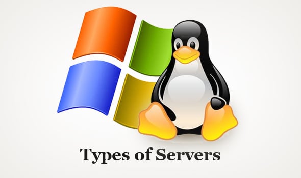Types of Hosting Servers