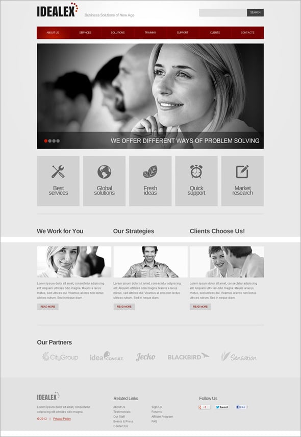 Flash CMS Template – a Successful Business Solution