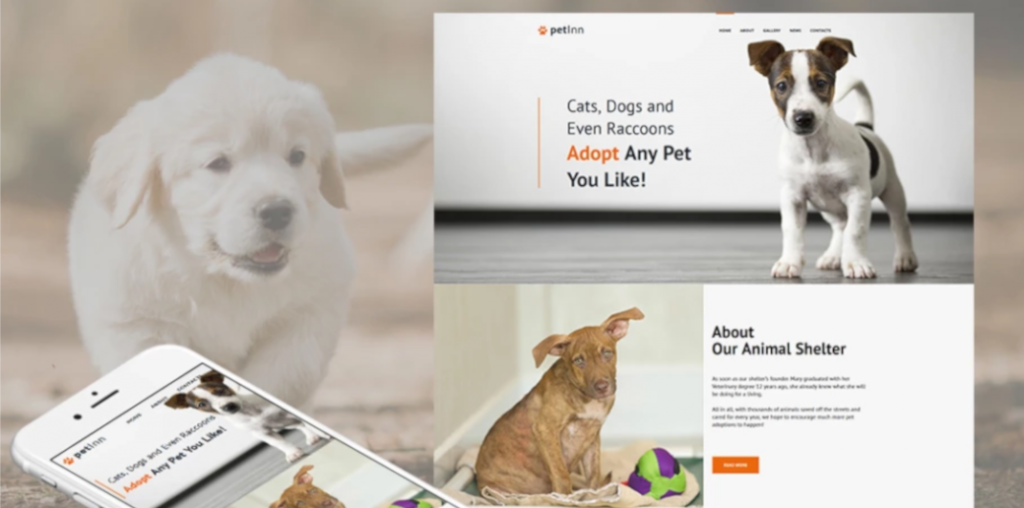 Veterinary site Design and Pet Grooming sites MotoCMS Blog