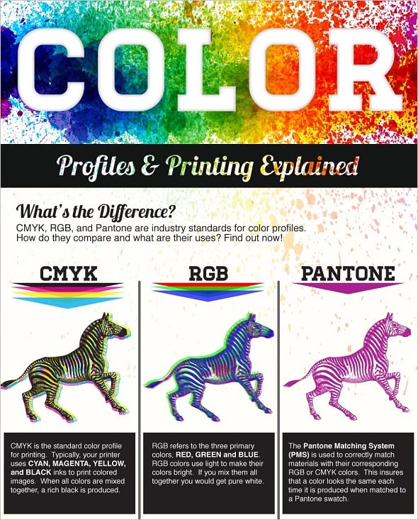 The Logo Company Best Infographics on Colors