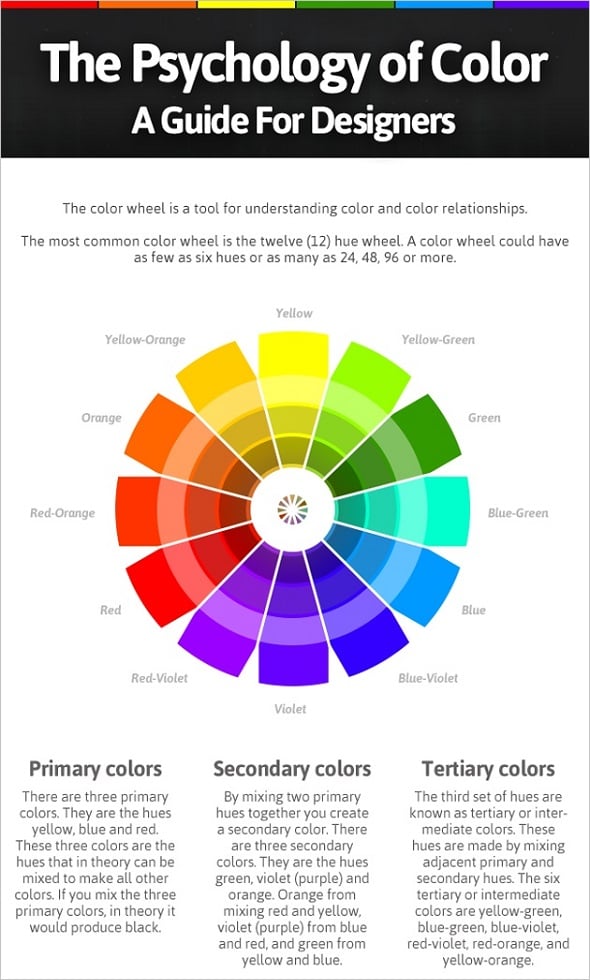 Color Guide for Designers Best Infographics