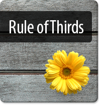 Rule of Thirds thumb