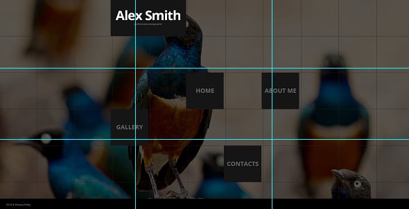 Rule of Thirds Photo on Website Template