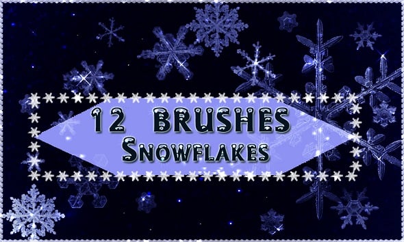 12 Snowflakes Brushes