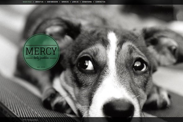 Create a website for dog breeders - Monochrome Website