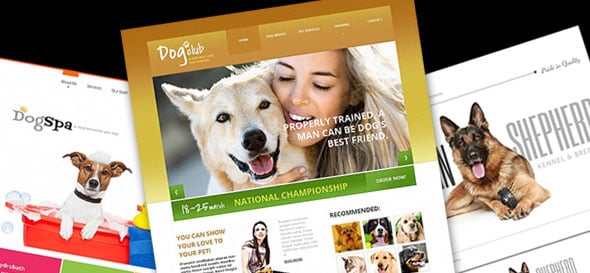 Сайт для собаководов: простые советы по созданию