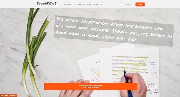 Creating a Startup Website - Peach Dish