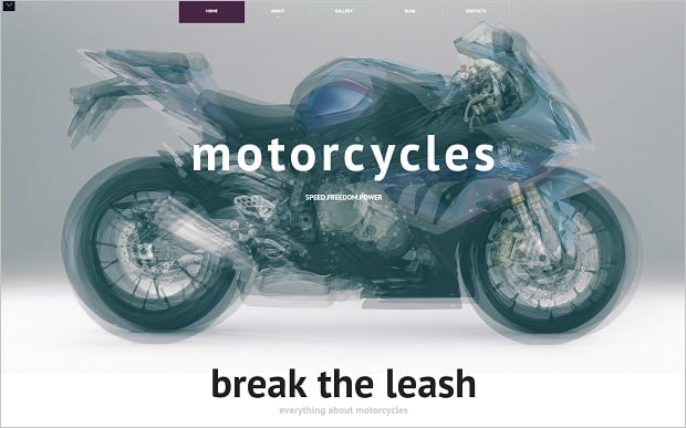 MotoCMS Independence day promo - Bike Template