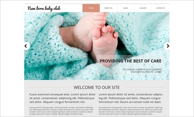 MotoCMS Independence day promo - Baby Template