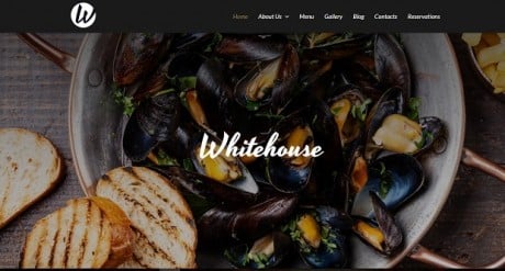 MotoCMS Top Website Templates 2016 You #39 ll Love Them