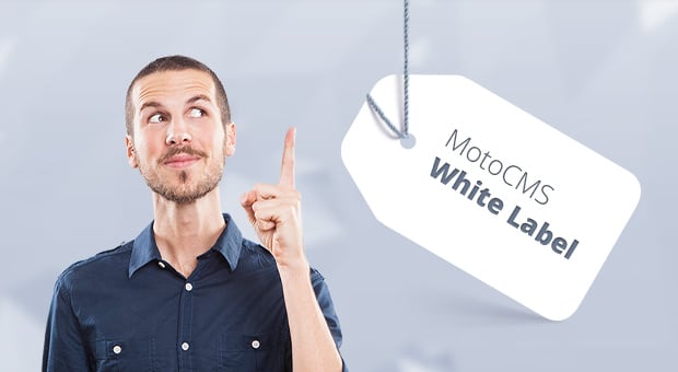 MotoCMS White Label для разработчиков - главная