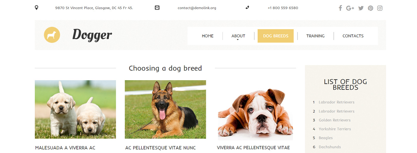 Best Dog Breeder Website Design
