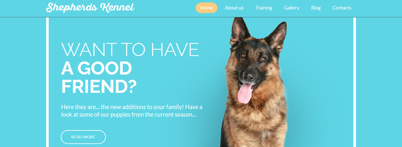 Template for Dog Training School