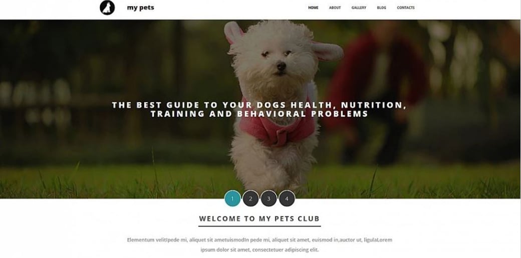 breed your dog website