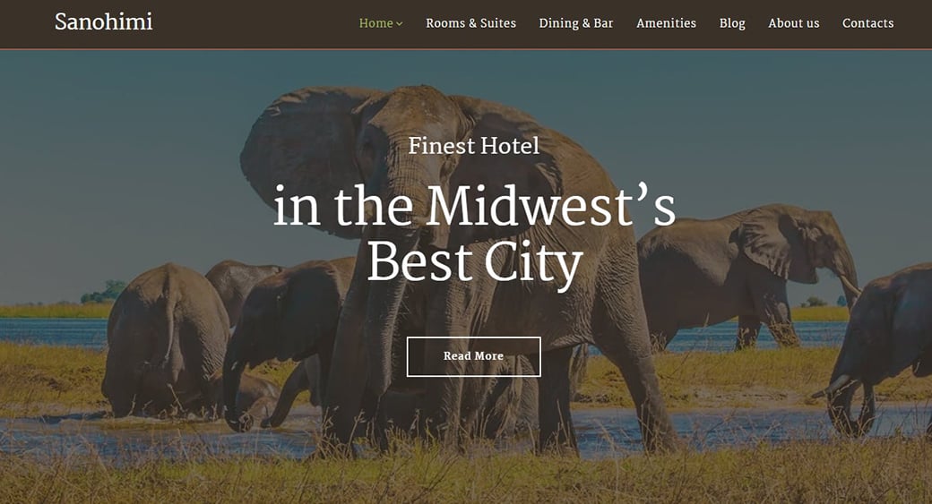 Safari hotel website