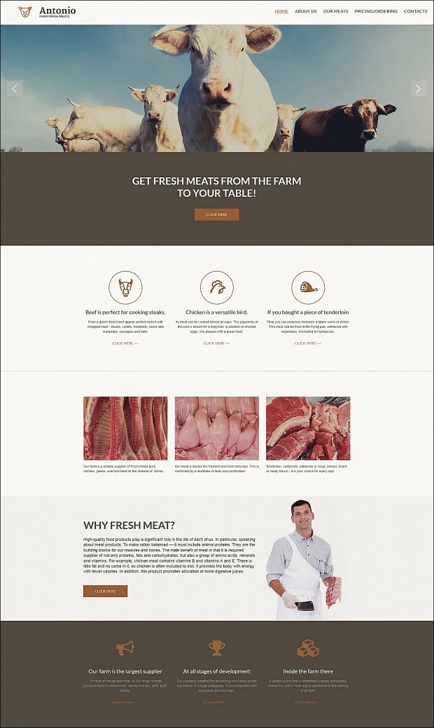 How to make an agriculture website - antonio