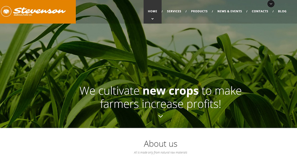 Шаблон для сайта агрокультурного предприятия изображение