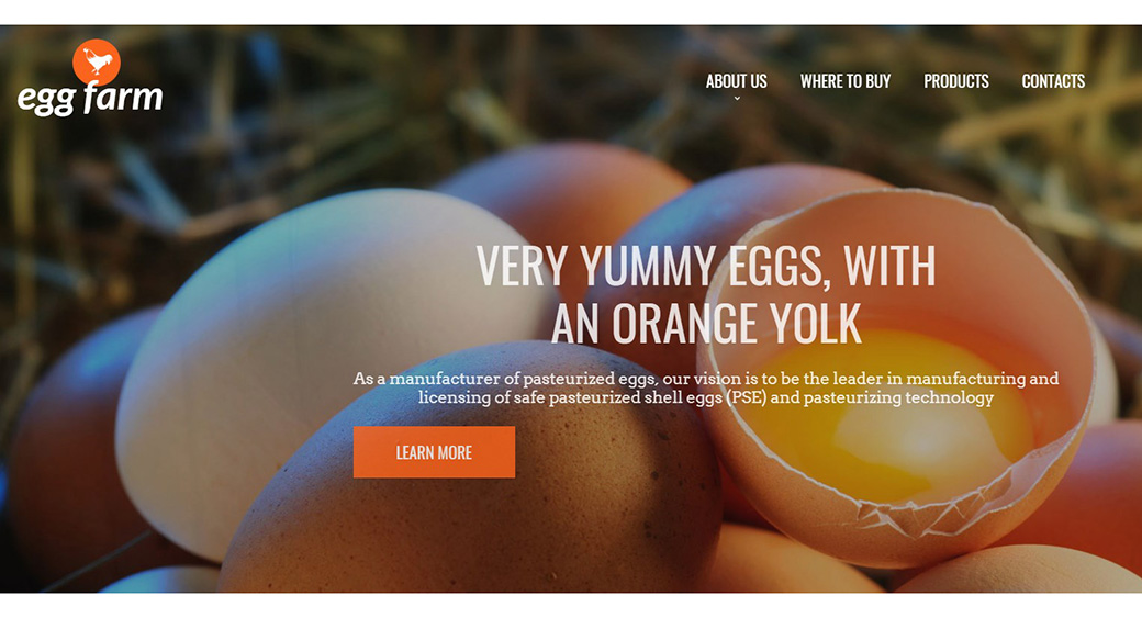HTML шаблон сайта Egg Farm изображение