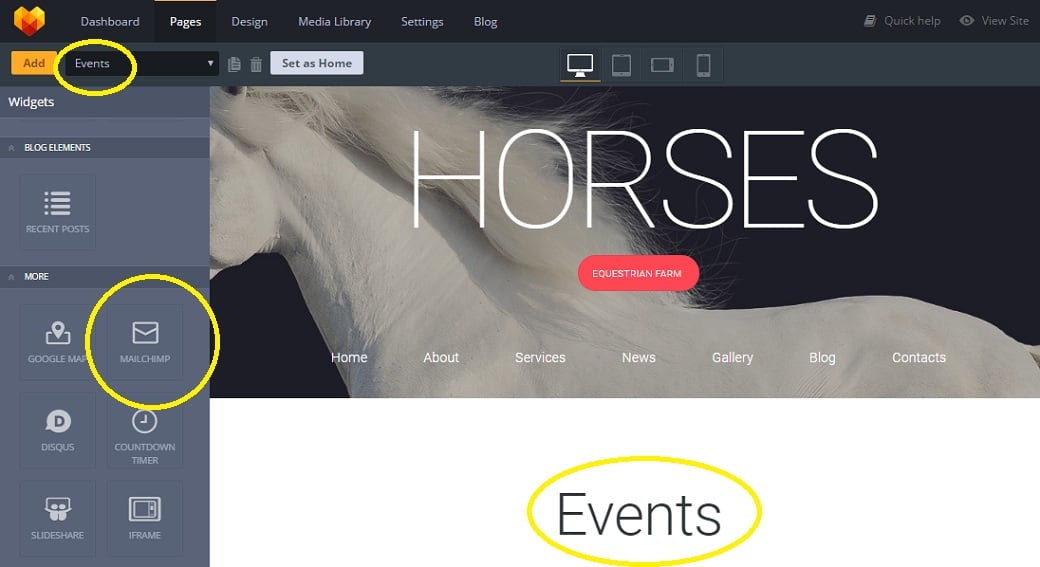 How to make a pet website - events