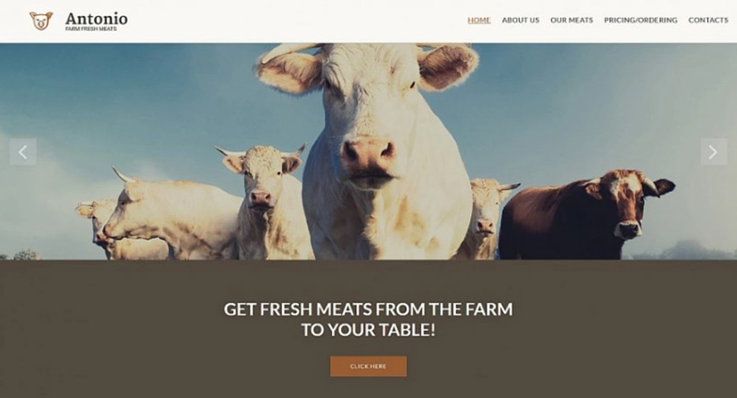 Шаблон для сайта фирмы, занимающейся продажей мяса изображение