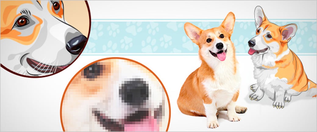 Vor- und Nachteile von Raster- und Vektorgrafiken