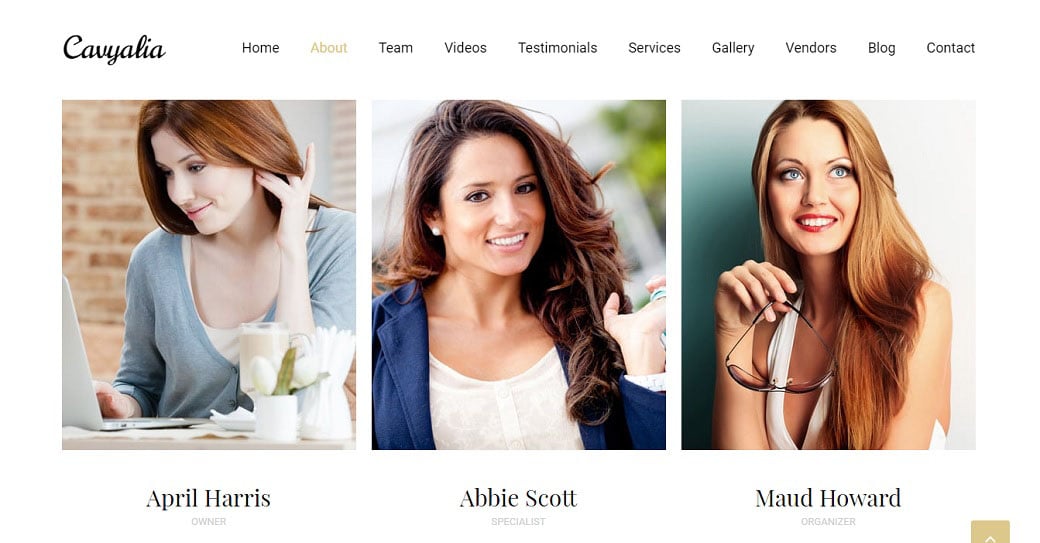 Адаптивный шаблон сайта Cavyalia