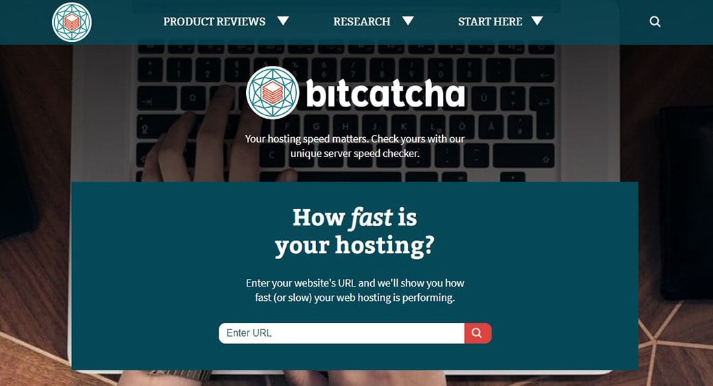 check how fast is your hosting