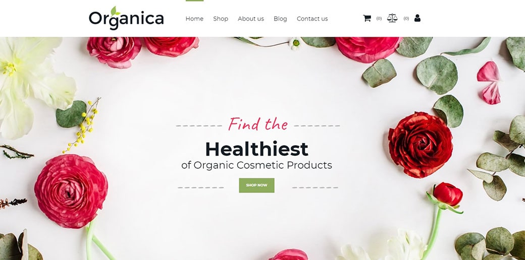 healthiest organic cosmetic products in beauty store