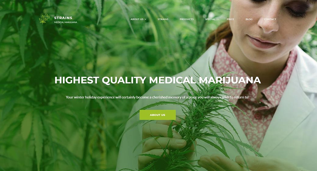 medical marijuana website design