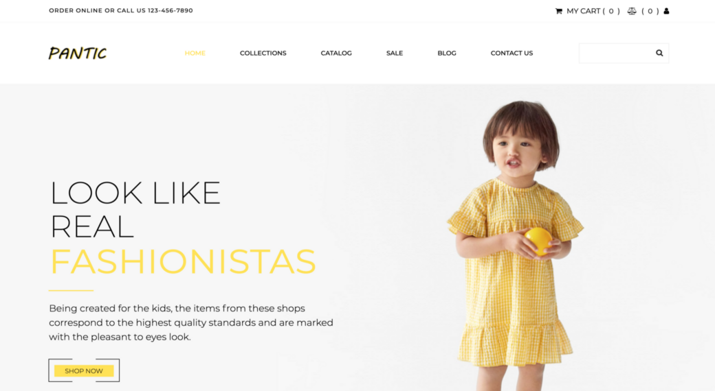 eCommerce website template