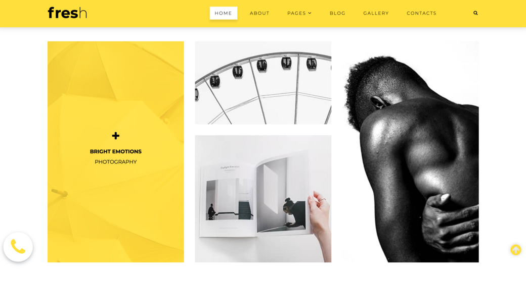 vivid pantone colors in web design