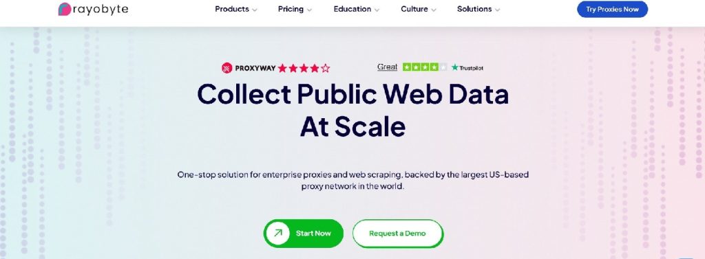 Rayobyte datacenter, residential, and ISP proxy services for enterprise workflows