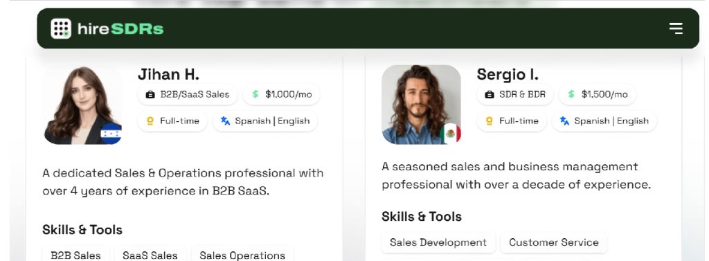 Remote Appointment Setters profile and skills