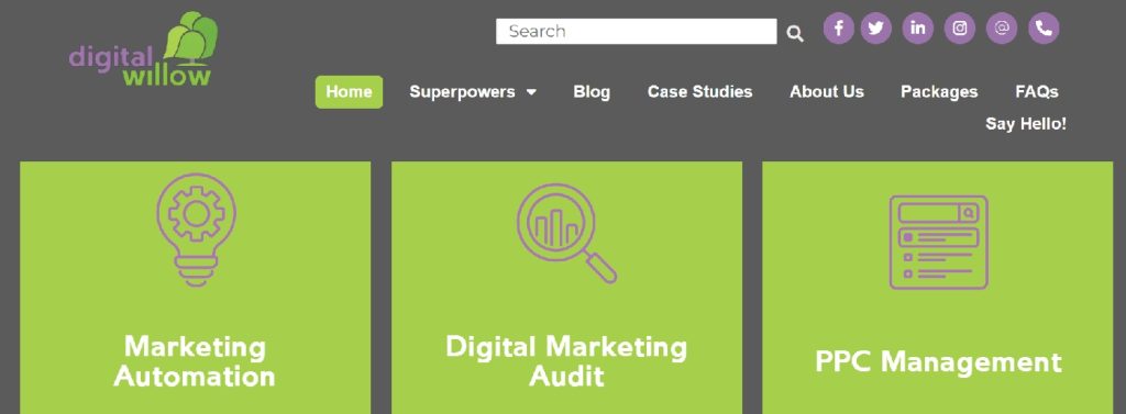 Digital Willow Ltd SEO and digital marketing services