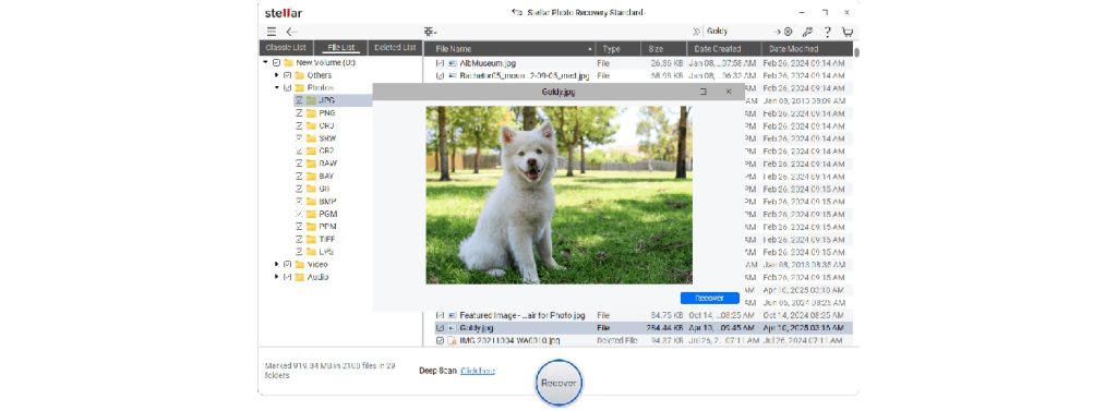 Preview and recover deleted photos