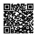 QR #53739