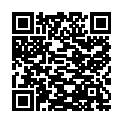 QR #55133