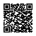 QR #63461