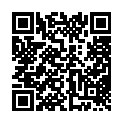 QR #63463