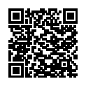 QR #65099